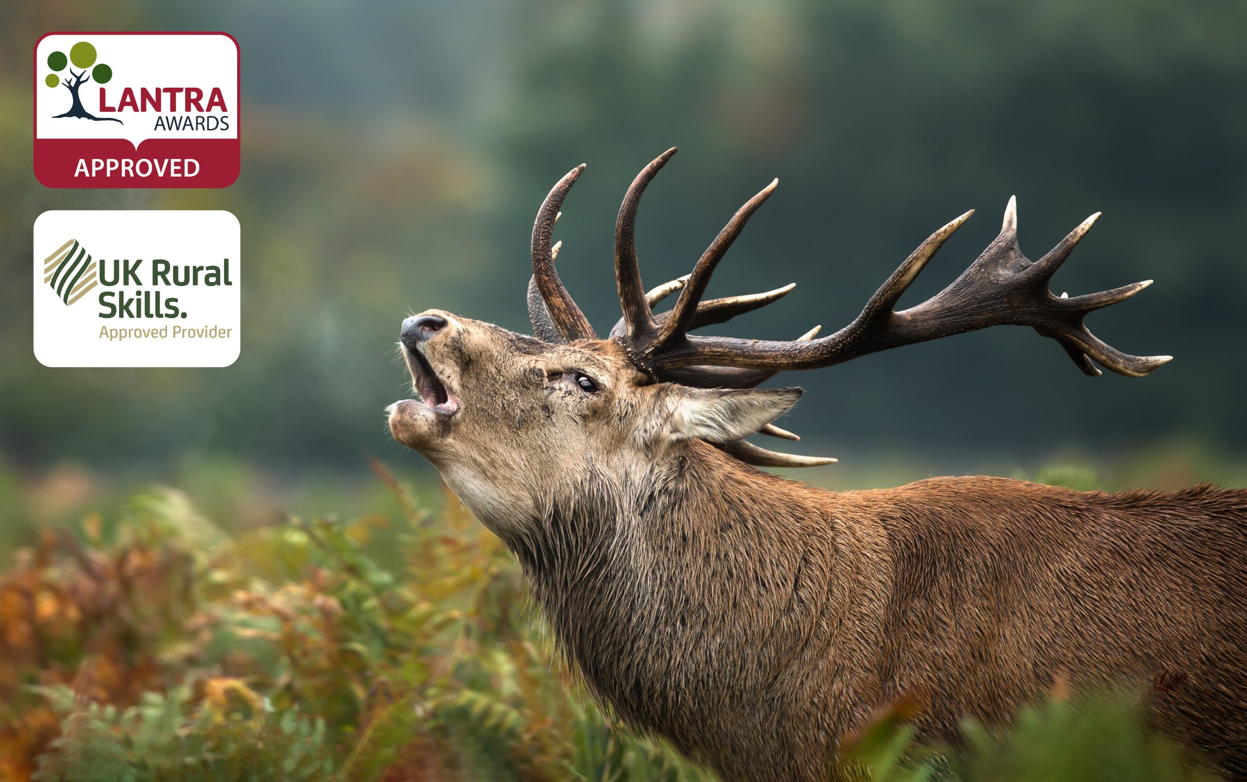 Deer Management Unit