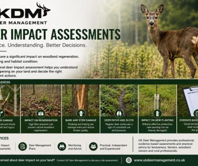 Deer Impact Assessment