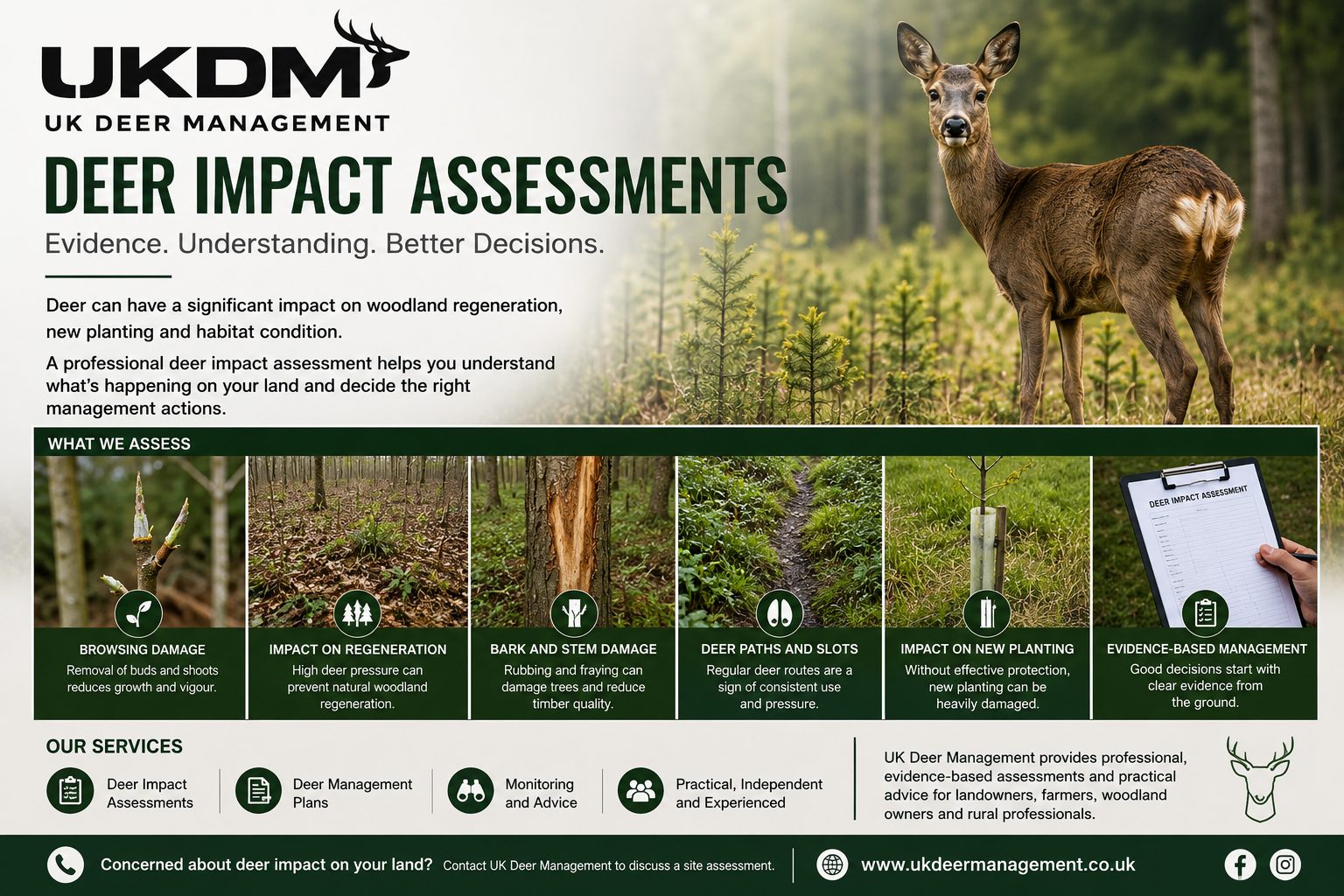 Deer Impact Assessment